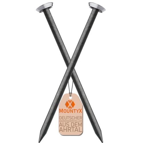 MountyX® – Bildernägel mit 30 mm Länge– Stahlnägel für den Einsatz auf Beton, Ziegelstein, Putz & Holz – Made in Europe (Silberner Kopf mit Halter, 30 Stück) von MOUNTYX