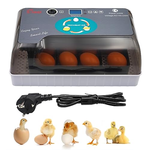 MUYIRTED Brutmaschine Vollautomatisch 12 Eier Inkubator Hühner Brutautomat Klein, Brutkasten für Wachteln Vogel von MUYIRTED