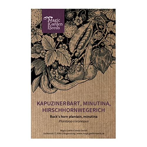 Kapuzinerbart/Minutina/Hirschhornwegerich (Plantago coronopus) - ca. 1500 Samen von Magic Garden Seeds