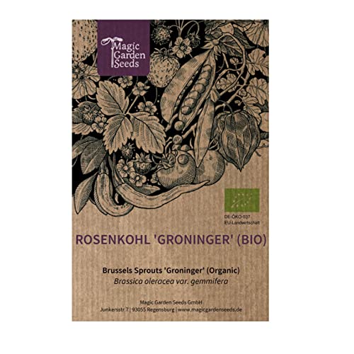Rosenkohl 'Groninger' (Brassica oleracea) 200 Samen Sprossenkohl Brüsseler Kohl Kohlsprossen von Magic Garden Seeds
