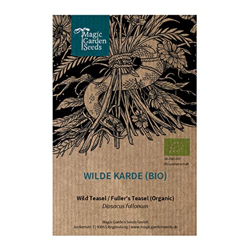 Wilde Karde (Dipsacus fullonum) Bio - ca. 100 Samen von Magic Garden Seeds