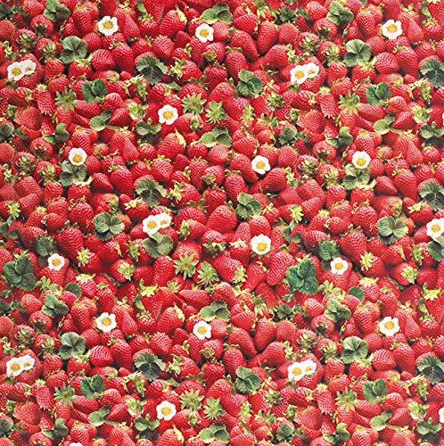 PVC Tischdecke Erdbeere Wachstuch • Eckig • Länge & Breite wählbar • abwaschbare Tischdecke • rot Früchte Strawberry, Größe:80 x 350 cm von Mambo-Design