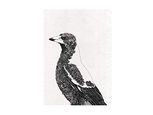 Maxwell & Williams Marini Ferlazzo Birds Bedrucktes Geschirrtuch mit Australischem Königspapagei Design, Baumwolle, Schwarz/Weiß, 50 x 70 cm von Maxwell & Williams