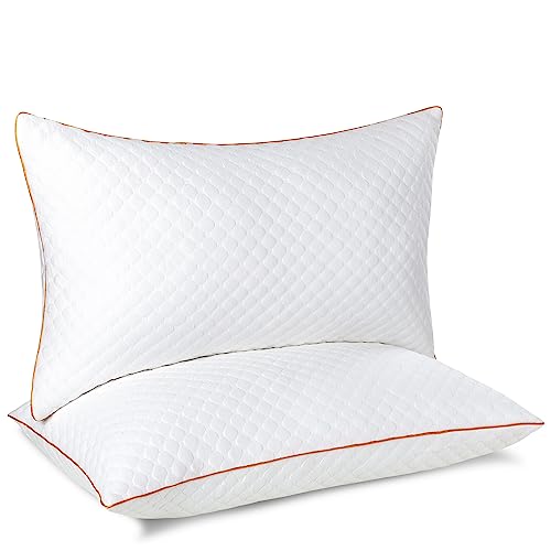 Maxzzz Bamboo Pillows 42 x 70 cm, 2er-Pack, hypoallergene und milbenabweisende Kissen, erfrischend, mit Reißverschluss, mittlere Festigkeit und hohe Erholung, für Seiten- und Rückenschlaf von Maxzzz