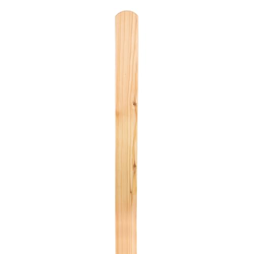 Mega Holz Zaunlatten Paket Usedom 10 Stück Lärche unbehandelt 100 cm von Mega Holz