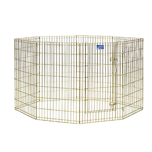 MidWest Homes for Pets Midwest Exercise Pen mit Tür, 106,68 cm, Gold von MidWest Homes for Pets