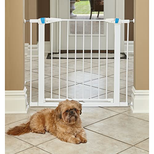 MidWest Homes for Pets 2929SG-GL Stahl-Absperrgitter für Haustiere, mit phosphoreszierendem Streifen, ca. 73,5 cm hoch, zum Durchgehen, Breite: 73,66–96,52 cm, sanft-weiß, Rahmen leuchtet im Dunkeln von MidWest Homes for Pets