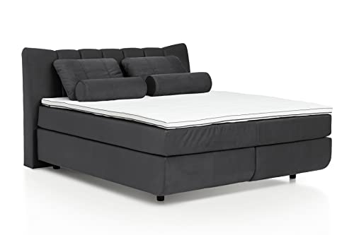 Mivano Free Boxspringbett/Bett mit 7-Zonen-Taschenfederkern-Matratze und Premium Topper/Härtegrad H2, Velours Cosy Dunkelgrau, Liegefläche 180 x 200 cm von Mivano