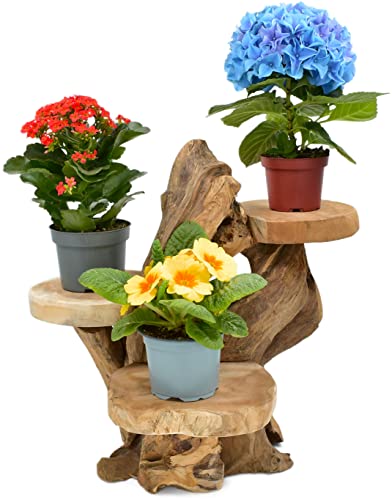 Möbelbörse Teak Blumenständer mit 3 Ablagen Blumenpodest Pflanzentreppe Blumenregal Ständer Blumenhocker Massiv Holz Podest Regal von Möbelbörse