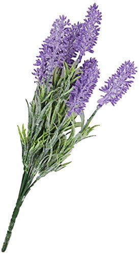 Mopec Lavendelzweig, 7 Blumen, 6,5 x 34 cm, Einheitsgröße von Mopec