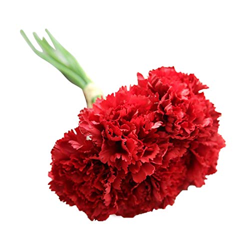 Muium(TM) 6Stück Mother 's Day Geschenk Unechte Blumen, Kunstblumen Deko-Blüten, Gefälschter Blumenstrauß der Nelke, Künstliche Blume Brautstrauß Party Hause Dekor (Rot) von Muium(TM)