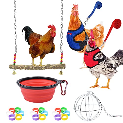 NA Allazone 25 Stück Hühner Spielzeug, Hühnerschaukel Hühner Spielzeug, Verstellbares Hühnergeschirr mit Leine, Hühnerfußring für Huhn, mittelgroße Vögel, Papageientraining von N\A