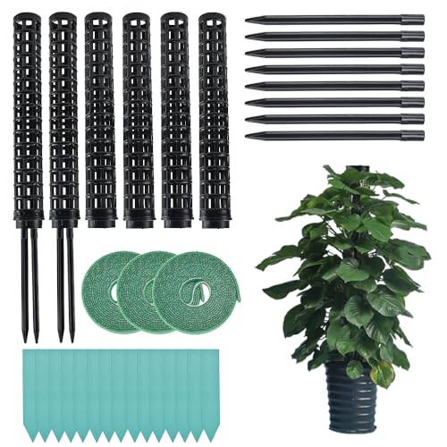 NAROSEBE 6 STK Monstera Rankhilfe Pflanzstab Rankhilfe Zimmerpflanze Kunststoff Kletterhilfe Pflanzen Moss Pole Plastic Monstera Rankhilfe Klein Moosstab Plastik für Monstera Pflanzen Efeutute von NAROSEBE