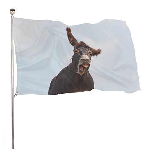 Dekorative Hausflagge, Hof-Banner, lustiger lächelnder Esel-Druck, Urlaub, Willkommen, Hof, Flagge, Rasen, hängende Dekoration, 60 x 90 cm von NIBABA
