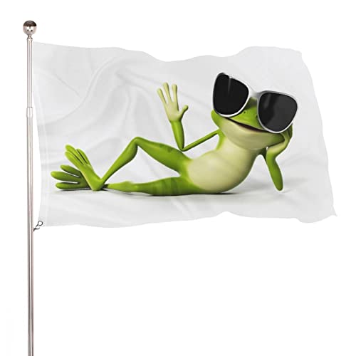 Dekorative Hausflagge Hofbanner 3D-lustiger Frosch-Druck für alle Jahreszeiten, Urlaub, Willkommen, Hofflagge, Rasen, hängende Dekoration, 60 x 90 cm von NIBABA
