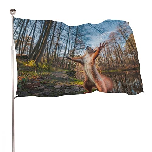 NIBABA Dekorative Hausflagge, Hofbanner, lustiger roter Eichhörnchen-Druck, alle Jahreszeiten, Urlaub, Willkommen, Gartenflaggen, Rasen, hängende Dekoration, 60 x 90 cm von NIBABA