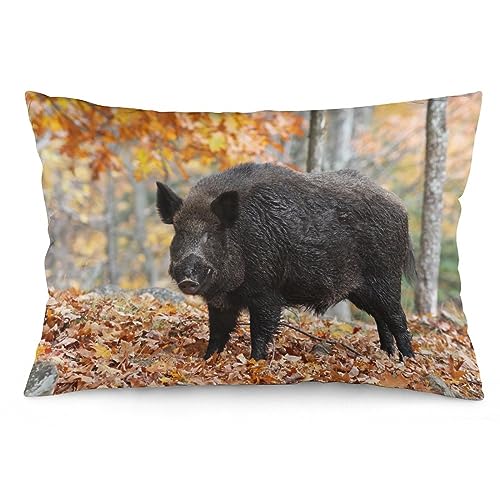 NIBABA Kissenbezüge, 1 Stück, Wildschwein-Herbstwald, dekorative Kissenbezüge, weiche Kissenbezüge, Kissenbezüge, 35 x 50 cm von NIBABA