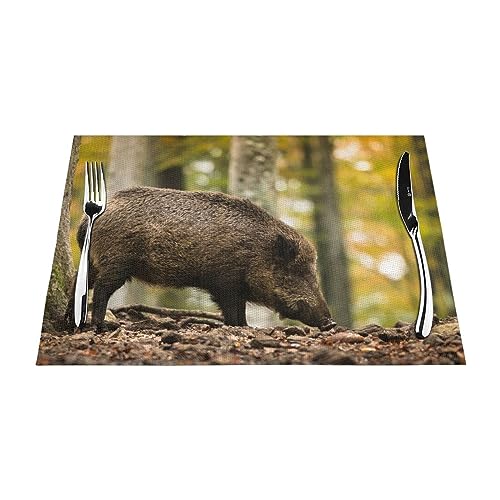Tischsets 1–6 Sets, Wildschwein im natürlichen Wald, waschbare Tischsets für Küche, Esstisch, 30 x 45 cm, 4 Stück von NIBABA