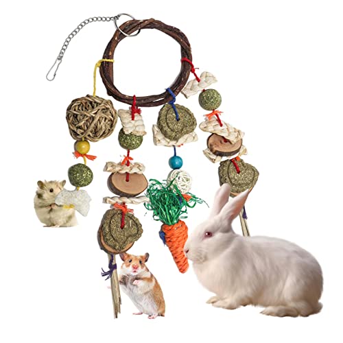 NICERAM Kaninchen Leckereien - Safe Bunny Cage Kauspielzeug zum Aufhängen,Kaninchen-Häschen-Kauspielzeug Meerschweinchen-Chinchilla-Häschen-Spielzeug für die Pflege des Zähneknirschens von NICERAM