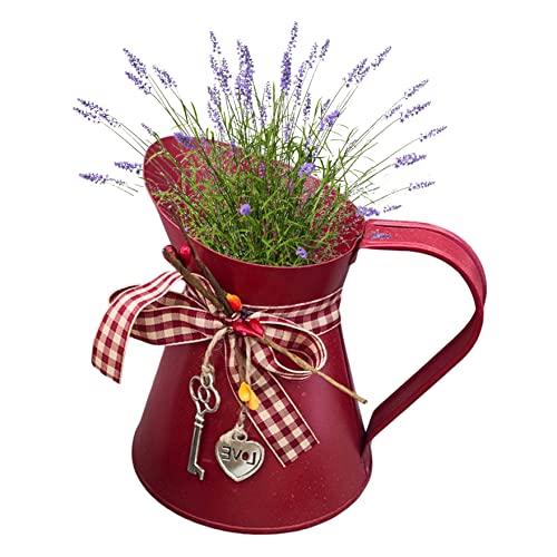 Pitcher Vase, rustikale Blumenvase kleine Metallkrug Vase Pflanzer Shabby Chic Milch Krug Vase für Heimküchenbaddekoration rot von NIDONE