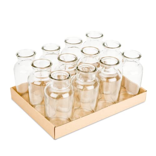 NaDeco Apothekerflaschen, 12 Stück, 16x8cm, 600ml | Kleine Glasvasen | Deko-Glasflaschen | Glasfläschchen | Deko-Vasen | Dekoflaschen | Glas-Flaschen | Windlichtgläser von NaDeco