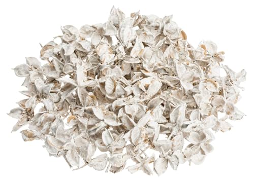 NaDeco Cotton Pods Weiß 250g | Baumwoll Knospen | Deko Blüten | getrocknete Naturdeko | Trockenblumen | Baumwoll Schoten | Streudeko | Naturdekoration von NaDeco