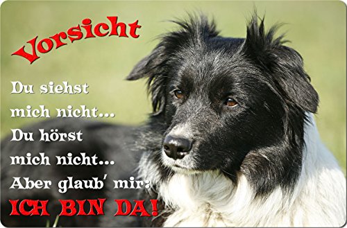 +++ BORDER COLLIE - Metall WARNSCHILD Schild Hundeschild Sign - BOC 05 T2 von Nanyuk