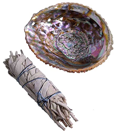 Räucherset Weißer Salbei Stab (5 Inch), Abalone Shell (4-5 Inch), Salbei-Räucherstab u. Muschel von Native Spirit