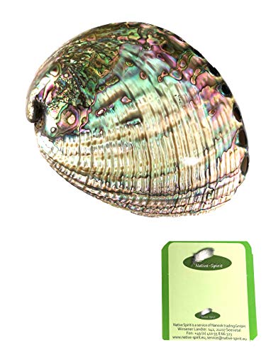 Native Spirit - beautifully polished Abalone Shells in different Sizes and colors (6-7Inch, In- & Outside Polished) von Native Spirit