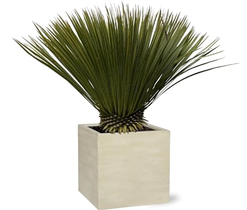 NatureNest - Palmlilie - Yucca rostrata - 1 Stück - 90 cm von NatureNest