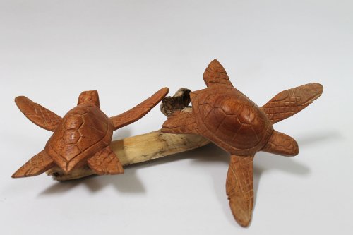 Naturesco Süßes Schildkröten-Paar aus Suarholz auf Wurzel aus Krokodilholz 22cm von Naturesco