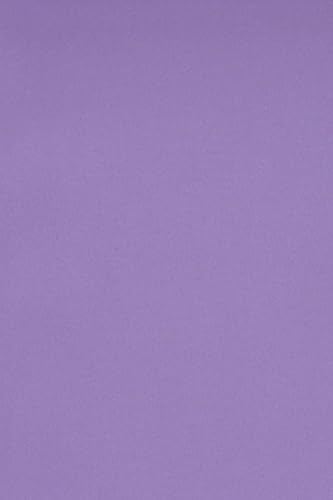 Netuno 10 x Tonkarton DIN SRA3 320x 450 mm Violett 250g Burano Violet Bastelkarton bunt durchgefärbt Fotokarton zum Basteln und Gestalten Bogen groß Buntkarton Tonzeichenpapier Bastelpapier von Netuno