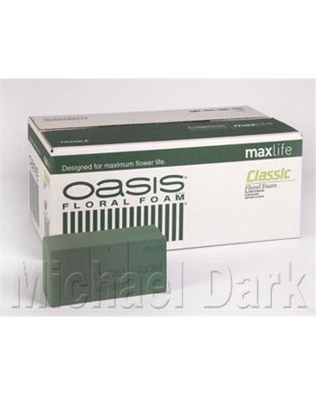 Oasis® Classic Maxlife Steckschaum-Ziegel (Karton 20 Stück) von Oasis