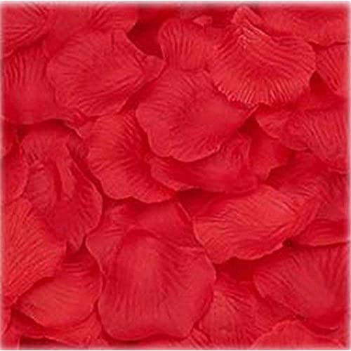 100 STÜCK Seidenkünstliche Blumen Rosenblätter Hochzeit Dekorationen Bonsai Künstlich Wie Echt (Red, One Size) von OBiQuzz