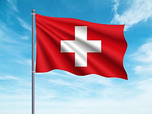 OEDIM Flagge der Schweiz | 150 x 85 cm | verstärkt und mit Nähten | Flagge mit 2 Metallösen und wasserdicht von Oedim