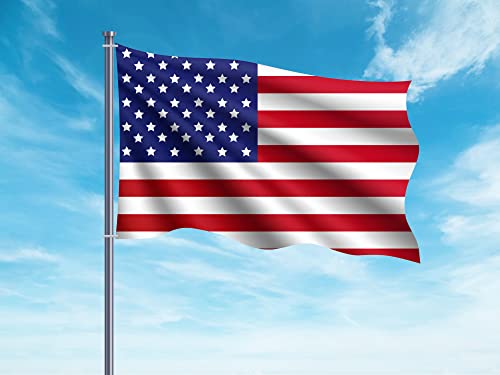OEDIM Flagge der USA | 150 x 85 cm | verstärkt und vernäht | Flagge mit 2 Metallösen und wasserdicht von Oedim