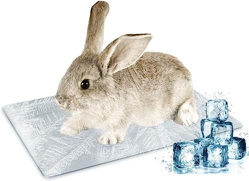 LeapBeast Kühlmatte für Haustiere, Kühlplatte aus Aluminiumlegierung, Sommer-Eisbett zum Kühlen von Haustieren für Meerschweinchen, Hamster, Kaninchen usw (L-30*20CM/1Pcs) von LeapBeast