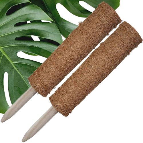 2 x 40 cm XXL Ø6,7cm Moosstab Pflanzstab als Rankhilfe für Monstera Zimmerpflanzen, Kletterhilfe Pflanzen, Pflanzstäbe, Pflanzenstab, Rankstab aus 100% Kokosfaser für Efeutute, Philodendron von ORANGE DEAL