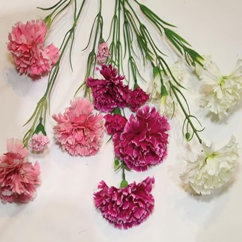 OSMA Künstliche Blumen der Marke Modell Bouquet of Carnations 67x18cm w. 5 Köpfe von OSMA
