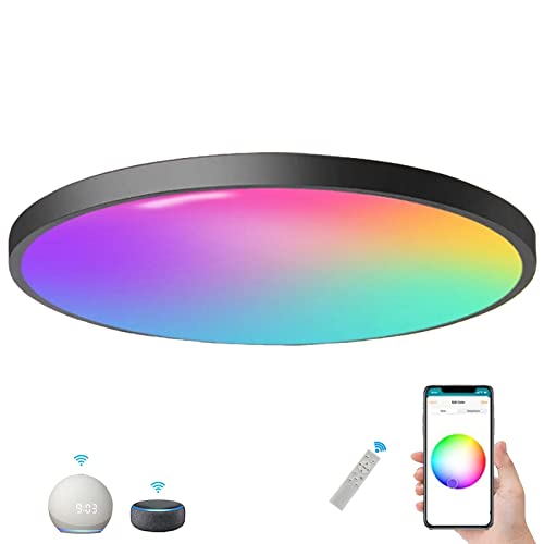 LED Deckenleuchte Alexa Kompatibel 32Cm Smart Deckenlampe Schwarz RGB Dimmbar mit Fernbedienung mit Apple Homekit Deckenleuchte Farbwechsel Steuerbar Via App 24W Rund Flach IP44 Schlafzimmer Flur von OURLOVEII