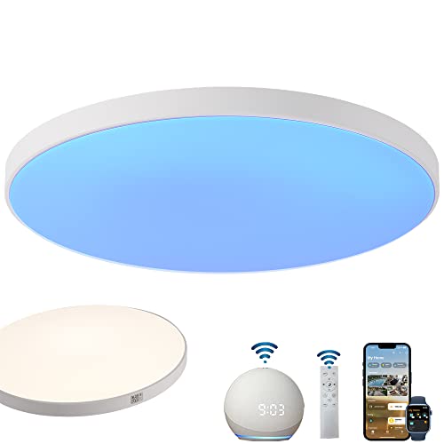 LED Deckenleuchte Alexa Kompatibel 32cm Smart Deckenlampe RGB Dimmbar mit Fernbedienung mit Apple Homekit Deckenleuchte Farbwechsel Steuerbar via App 24W Rund Flach IP44 Wasserfest Schlafzimmer Flur von OURLOVEII