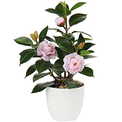 28cm Kunstpflanzen im Topf für Heimdekoration Künstliche Zimmerpflanze Camellia, Blumenarrangements Heim- und Büro Dekoration Desktop Bonsai, Kunstpflanzen mit Töpfen Tischdeko Haus Balkon Büro Deko von Oairse