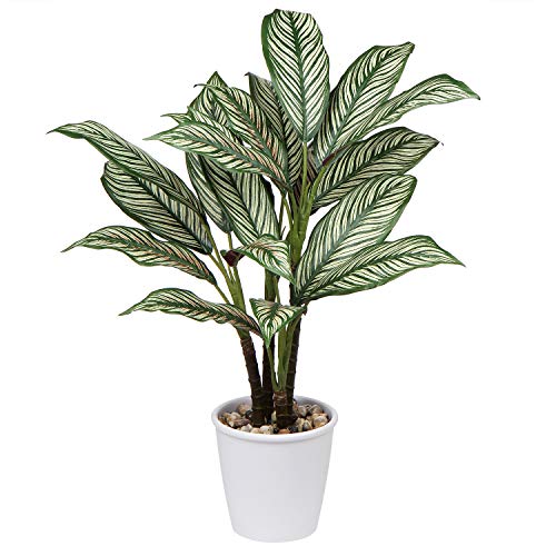 Kunstpflanze Calathea Ornata 63CM Kunstpflanze Groß im Topf Deko für drinnen und draußen, Moderne Dekoration, Dekoration Badezimmer Wohnzimmer Schlafzimmer Balkon von Oairse