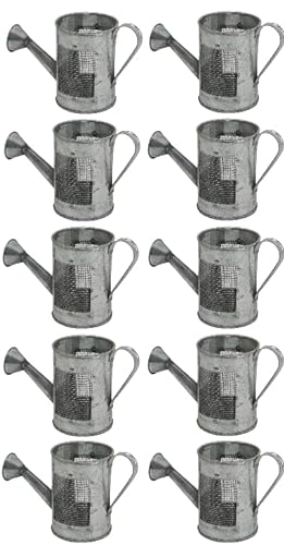 10 schöne verzinkte Gießkannen - dekorative kleine Gießkannen - Basteln und Heimdekoration (Silber, ca.14,5 x 6,3 x 8,4 cm) von Oberle