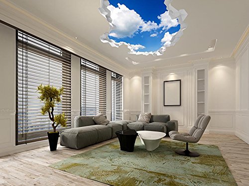 Dekorative Vinylfolie für Decke Himmel und Wolken | verschiedene Größen | Dekorativer Aufkleber in edlem Design 130 x 110 cm von Oedim