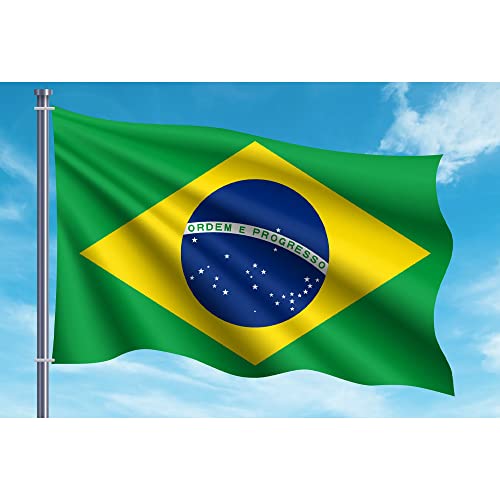 Oedim Flagge Brasilien | 150 x 85 cm | verstärkt und mit Nähten | Flagge mit 2 Metallösen und wasserdicht von Oedim