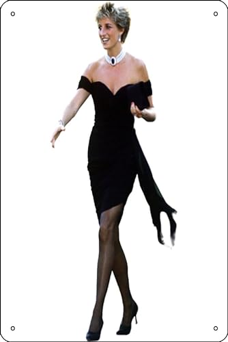 Oedrtqi Prinzessin Diana Revenge Dress Poster, lustiges Metall-Blechschild für Zuhause, Küche, Bar, Zimmer, Garage, Dekoration, 20,3 x 30,5 cm von Oedrtqi