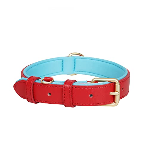 Rotes Leder-Hundehalsband, klassisches Echtleder, weiches Hundehalsband mit gepolsterter, robuster Schnalle, verstellbar für kleine, mittelgroße und große Hunde, 3 cm x 65 cm (L) von Ohmywor