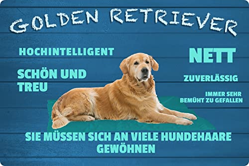 Ontrada Blechschild 20x30cm gewölbt Golden Retriever Hund nett treu Deko Geschenk Schild von Ontrada