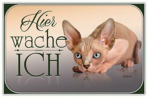 Ontrada Blechschild 20x30cm gewölbt Katze Sphynx Hier wache ich Deko Geschenk Schild von Ontrada